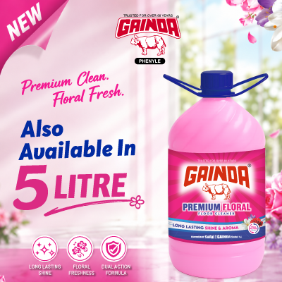Gainda Phenyle