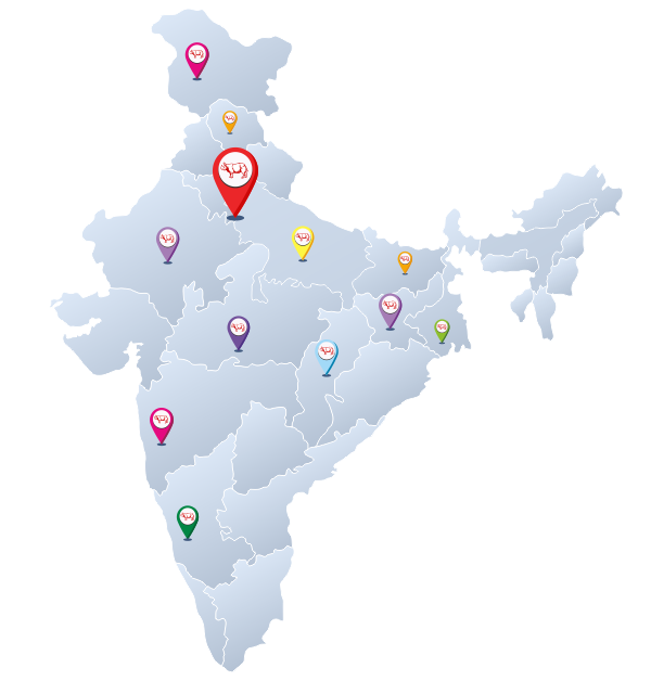 gainda phenyle network